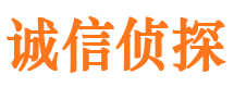 商城市侦探调查公司